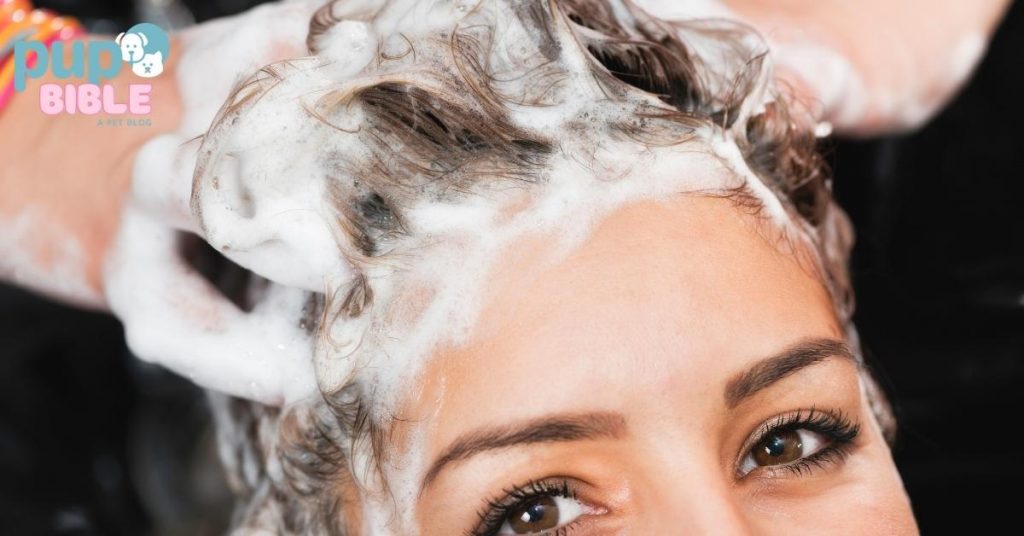 Can Humans Use Dog Shampoo