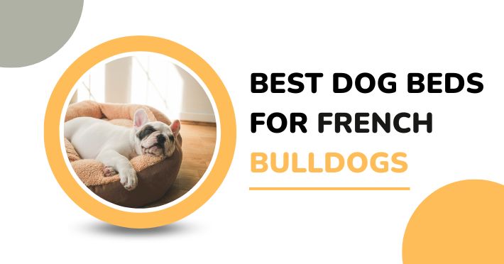 Best Dog Beds for French Bulldogs