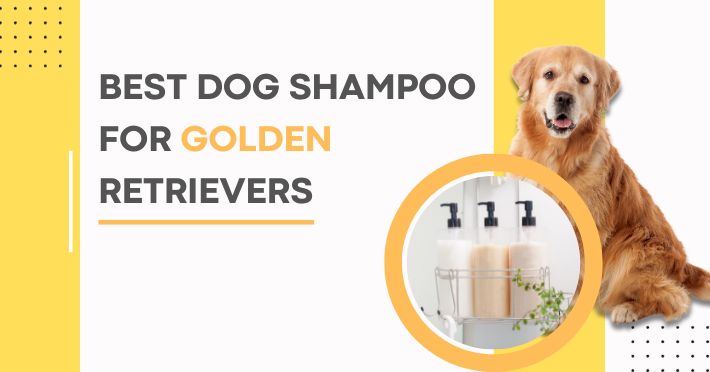 Best Dog Shampoo for Golden Retrievers