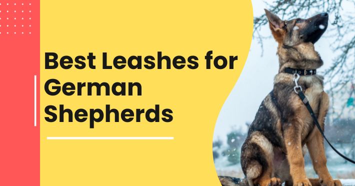 Best Leashes for German Shepherds