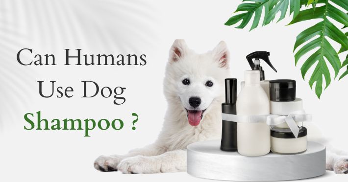 Can Humans Use Dog Shampoo