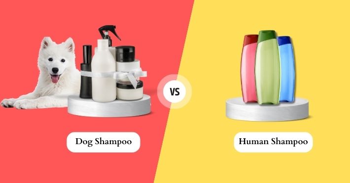 Decoding Dog Shampoo vs. Human Shampoo