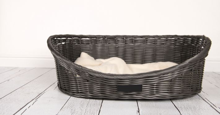 Factors to Consider When Selecting a Dog Bed for French Bulldogs