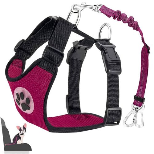 Lukovee Car Harness with Seatbelt