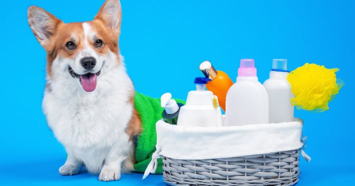 Medicated Dog Shampoo for Humans