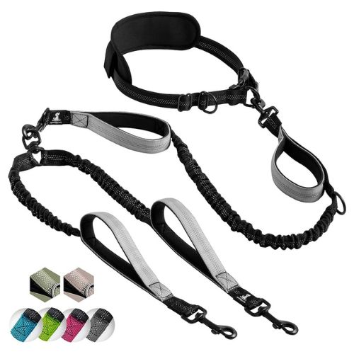 Pet Dreamland Hands-Free Double Dog Leash