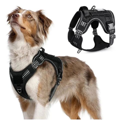 Rabbitgoo Dog Harness