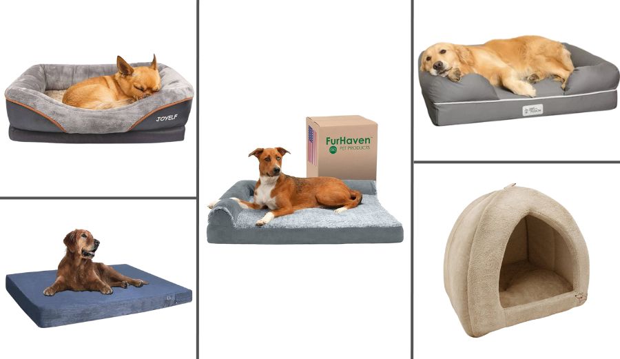 The 5 Best Dog Beds for French Bulldogs