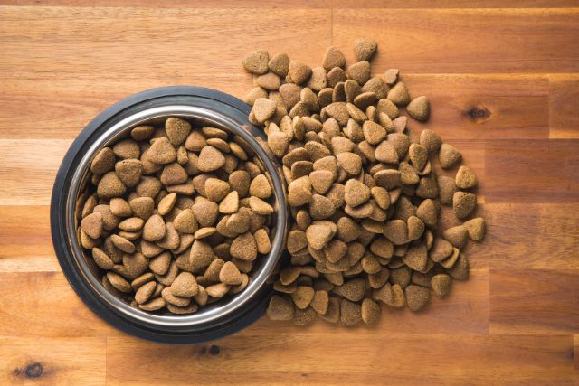 Dog Food Brands