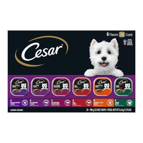 Nourish Your Dog with Gourmet Meals CESAR Adult Wet Dog Food Variety Pack